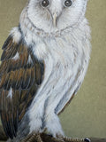 Owl (24 x 27 cm)