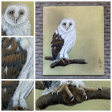Owl (24 x 27 cm)