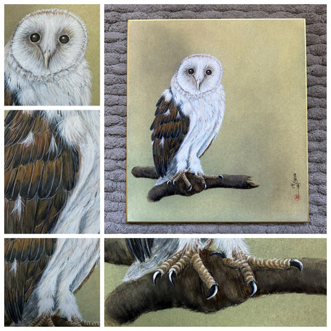 Owl (24 x 27 cm)