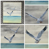 Seagulls (24 x 27 cm)