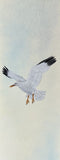 Seagull (6,0 cm)