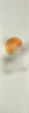 Sun with clouds (6,0 cm)