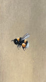Bumblebee (7,5 c,m)