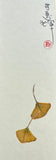 Ginkgo leaves ( 6 cm)