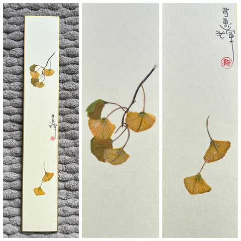 Ginkgo leaves ( 6 cm)
