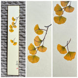 Ginkgo leaves (6 cm)