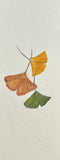 Ginkgo leaves (6 cm)