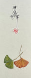 Ginkgo leaves (6 cm)