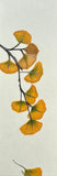 Ginkgo-leaves (6 cm)