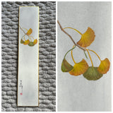 Ginkgo leaves (7,5 cm)