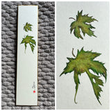 Maple leaves (7,5 cm)
