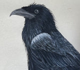 Raven with moon (115 cm)