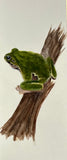 Frog (7,5 cm)