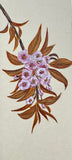 Sakura (7,5 cm)