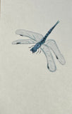 Dragon fly ( 6 cm)