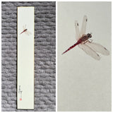 Dragon fly (6 cm)