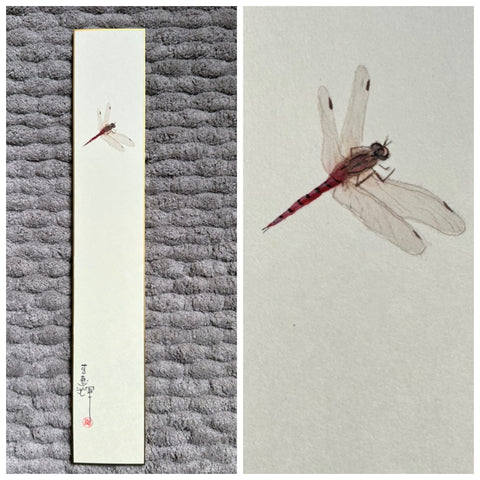 Dragon fly (6 cm)