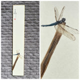 Dragon fly (6 cm)