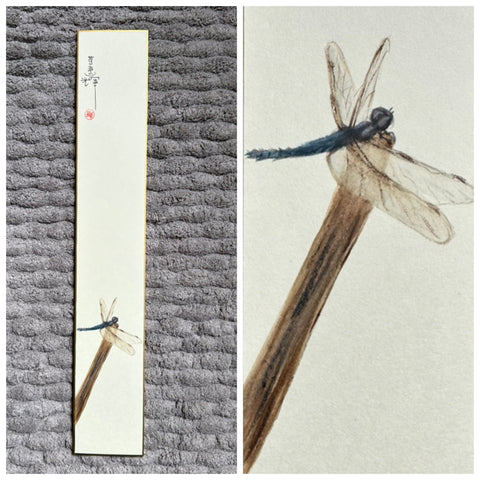 Dragon fly (6 cm)