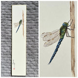 Dragon fly (7,5 cm)