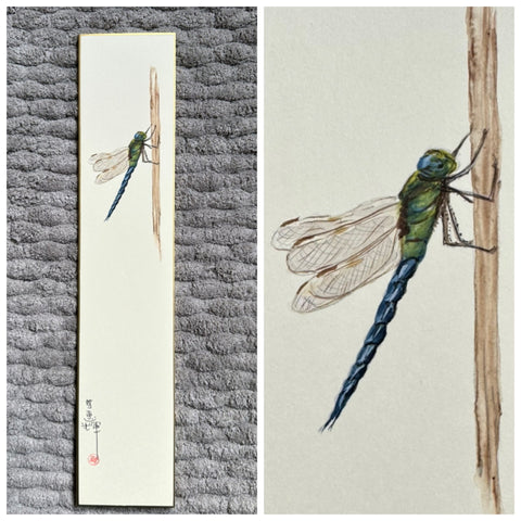 Dragon fly (7,5 cm)