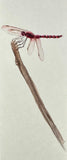 Dragon fly (6 cm)