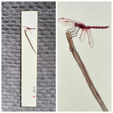 Dragon fly (6 cm)