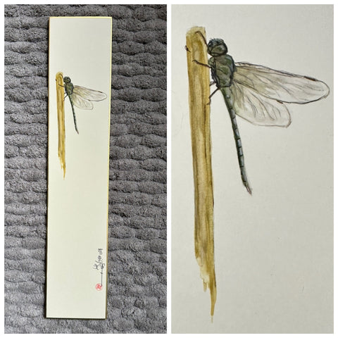 Dragon fly (7,5 cm)