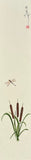 Dragon fly (7,5 cm)