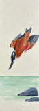 Kingfisher (7,5 cm)