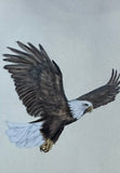 Eagle (7,5 cm)