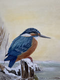Kingfisher in winter (24 x 27 cm)