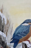 Kingfisher in winter (24 x 27 cm)