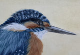 Kingfisher in winter (24 x 27 cm)