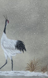 Cranes with snow (24 x 27 cm)