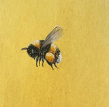 Bumblebee (7,5 cm)