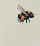Bumblebee (7,5 cm)