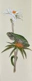 Frog (7,5 cm)