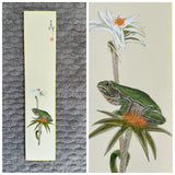 Frog (7,5 cm)