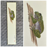 Frog (7,5 cm)