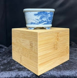 Bonsai-Pot with BOX "blue landscape"