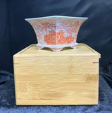 Bonsai-Pot with BOX "red landscape"