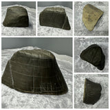 Suiseki / untreated from Liguria
