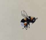Bumblebee (7,5 cm)