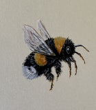 Big Bumblebee (7,5 cm)