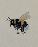 Bumblebee (7,5 cm)