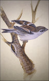 Sparrow on tree (6,0 cm)