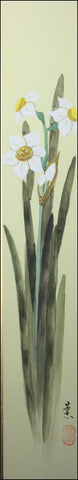 Daffodils (6,0 cm)