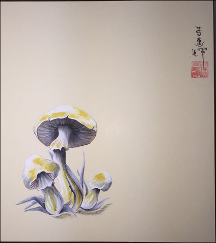 Mushrooms (24 x 27 cm)