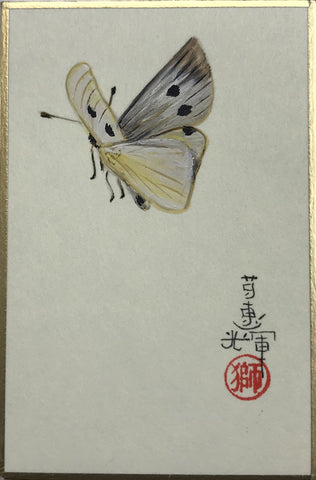 Butterfly (6 x 9 cm)